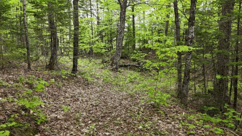 Terre/Terrain - Ch. Du Lac-Écho, Morin-Heights, QC 