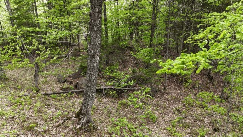Terre/Terrain - Ch. Du Lac-Écho, Morin-Heights, QC 