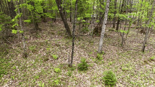 Terre/Terrain - Ch. Du Lac-Écho, Morin-Heights, QC 