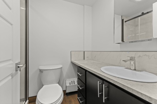 Bathroom - 411-4500 Av. Bourret, Montréal (Côte-Des-Neiges/Notre-Dame-De-Grâce), QC 