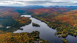 Aerial View - 