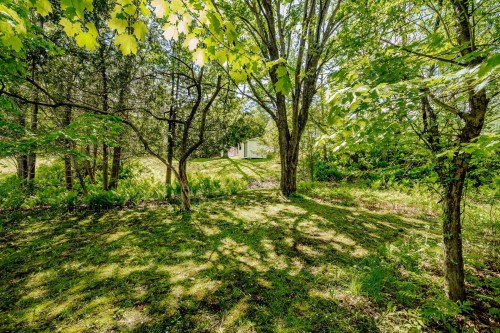 Extérieur - 31 Rue Thornton N., Coaticook, QC - Outdoor