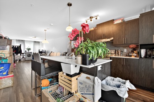 Kitchen - 320-5505 Rue De Châteauneuf, Brossard, QC 