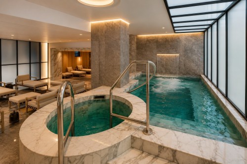 Spa - 1614-2060 Rue Peel, Montréal (Ville-Marie), QC - Indoor Photo Showing Other Room With In Ground Pool