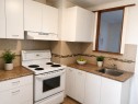 Kitchen - 2319 Av. De Lorimier, Montréal (Le Plateau-Mont-Royal), QC 