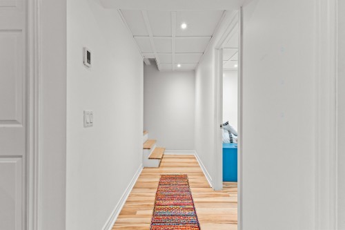 Hall d'entrée/Vestibule - 1864 Rue De Villiers, Montréal (Le Sud-Ouest), QC 