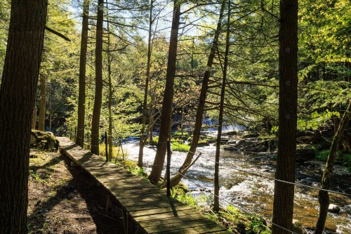 Bord de l'eau - 291 Route 241, Saint-Joachim-De-Shefford, QC - Outdoor With View