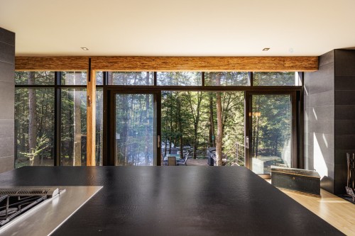 Vue sur l'eau - 291 Route 241, Saint-Joachim-De-Shefford, QC - Indoor With Fireplace