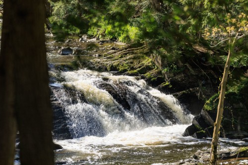 Bord de l'eau - 291 Route 241, Saint-Joachim-De-Shefford, QC - Outdoor