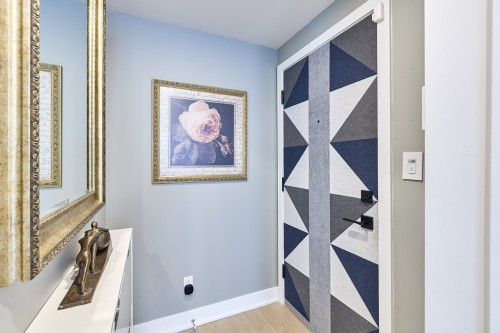 Hall d'entrée/Vestibule - 114-64 Ch. St-François-Xavier, Candiac, QC 
