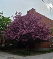 Façade - 