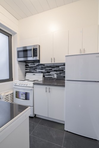 Kitchen - 1-2050 Av. Claremont, Montréal (Côte-Des-Neiges/Notre-Dame-De-Grâce), QC 