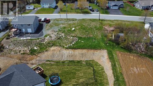 29 Lawrence Pond Road, Conception Bay South, NL 