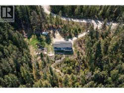 Drone View of Road into Property, House and Trail to Lake - 