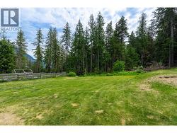 Garden and Side Yard - 