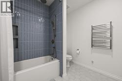 Lower Level Second Bathroom - 