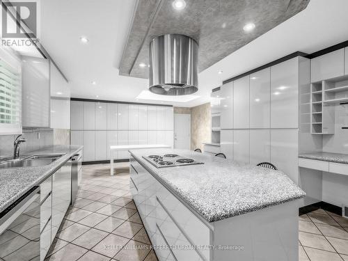 7 Harlock Boulevard, Toronto, ON - Indoor Photo Showing Kitchen With Double Sink