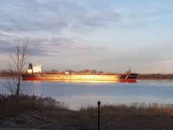 Vue sur l'eau - 