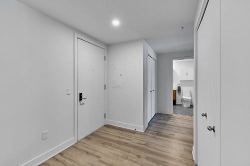 Hall d'entrée/Vestibule - 420-1429 Av. De La Gare, Mascouche, QC - Indoor Photo Showing Other Room