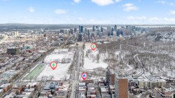Aerial View - 