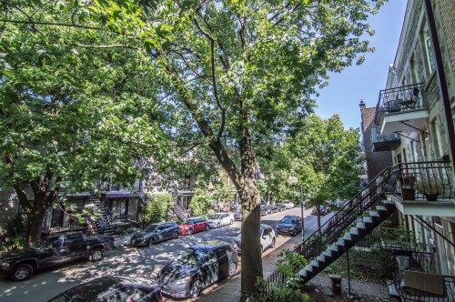 Rue - 4310 Av. Des Érables, Montréal (Le Plateau-Mont-Royal), QC 