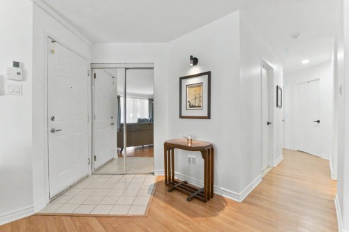 Hall d'entrée/Vestibule - 102-101 Rue Pierre-Laporte, Saint-Eustache, QC 