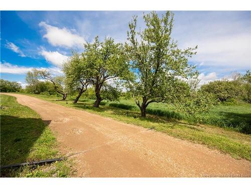 32 Willow Grove Lane, Weldon, NB 