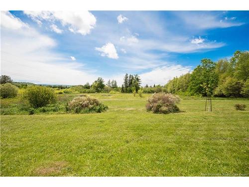 32 Willow Grove Lane, Weldon, NB 
