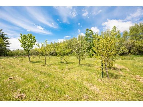 32 Willow Grove Lane, Weldon, NB 