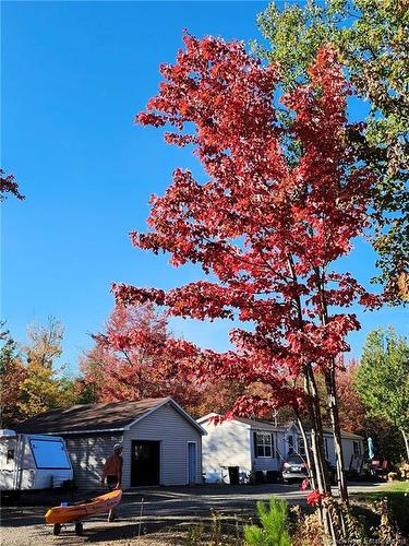 101 Maxwell Road, Canal, NB 