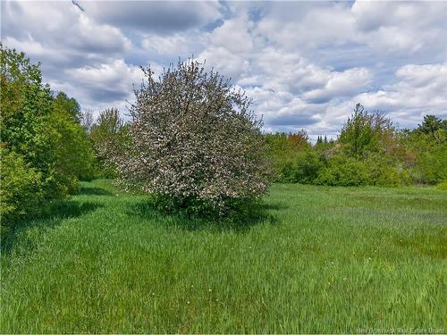 517 Route 11 Hwy, Lower Newcastle, NB 