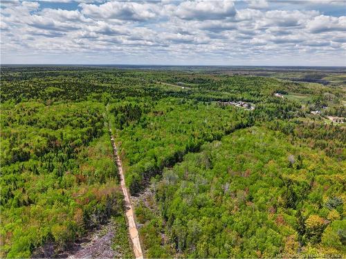 517 Route 11 Hwy, Lower Newcastle, NB 
