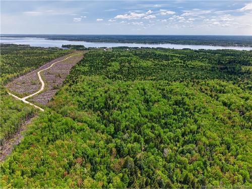 517 Route 11 Hwy, Lower Newcastle, NB 