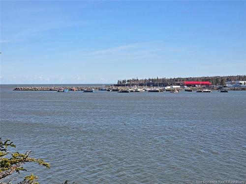 1456 Highway 790, Dipper Harbour, NB 