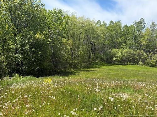 Lot Mapleton Rd, Moncton, NB 