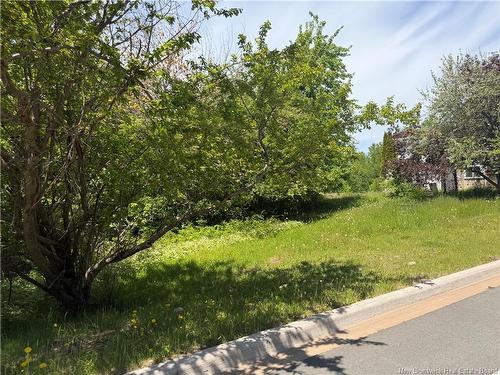 Lot Mapleton Rd, Moncton, NB 