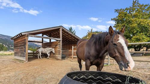 602 Johnson Crescent, Oliver, BC 