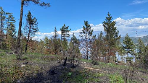 Lot 2 Westside Road, Vernon, BC 