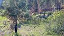 Lot 2 Westside Road, Vernon, BC 