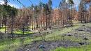 Lot 2 Westside Road, Vernon, BC 