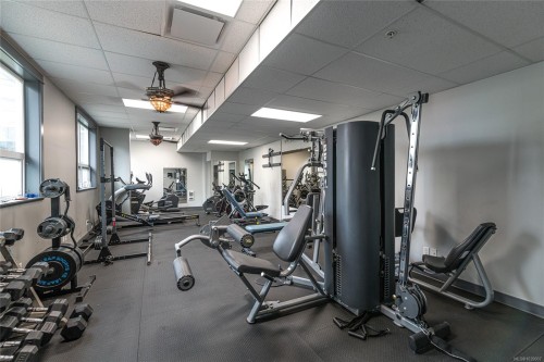 #210-1315 Esquimalt Rd, Esquimalt, BC 