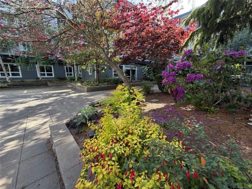 #210-1315 Esquimalt Rd, Esquimalt, BC 