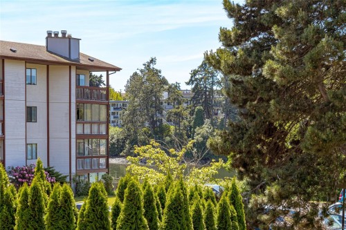 #310-73 Gorge Rd West, Saanich, BC 
