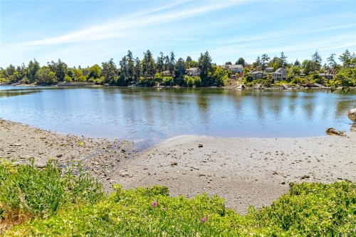 #310-73 Gorge Rd West, Saanich, BC 