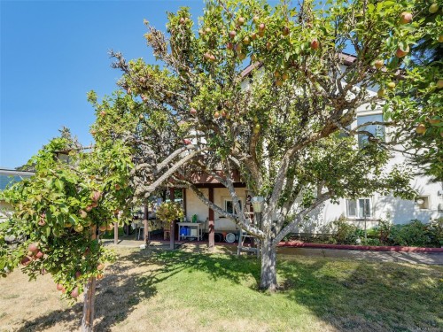 8 Camden Ave, View Royal, BC 