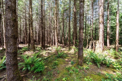 3890 Trailhead Dr, Sooke, BC 