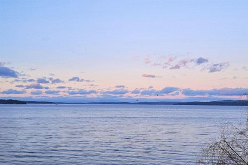 3677 Gardner Rd, Saltair, BC 