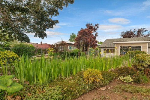 558 Alder St, Campbell River, BC 