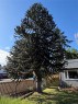 548 Nova St, Nanaimo, BC 