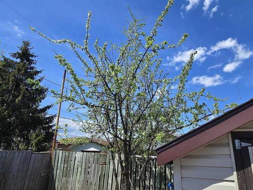 112 Walsh St West, Thunder Bay, ON 